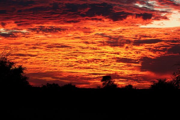 sky covered with deep red clouds at sunset