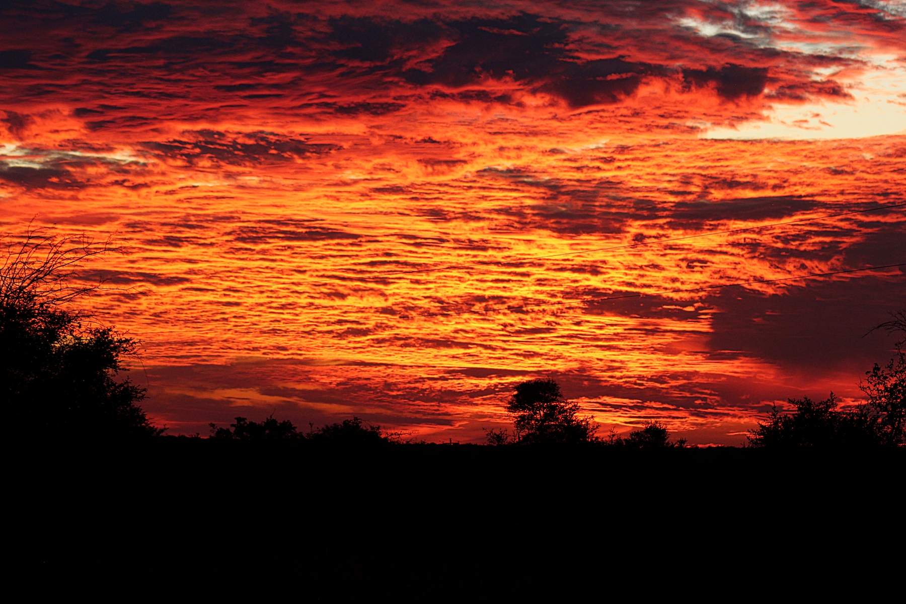 sky covered with deep red clouds at sunset