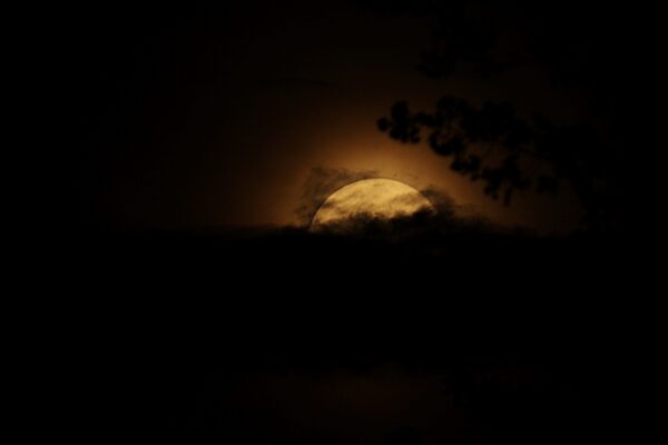 yellow glowing moon pops out of top of clouds