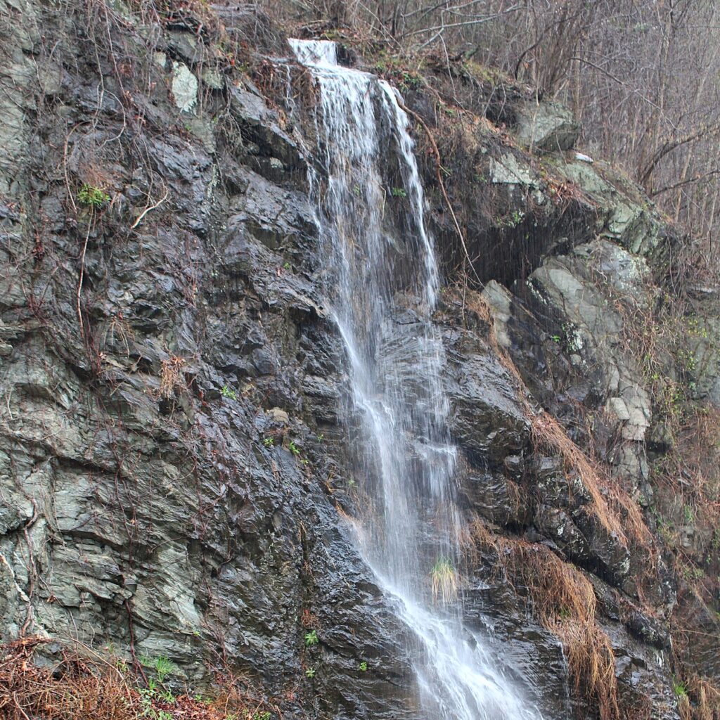 spring rainfall in the smokies