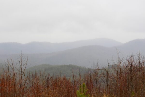 PURCHASE -- Chilhowee Mountain View